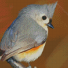 Tufted Titmouse Diamond Painting