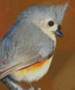 Tufted Titmouse Diamond Painting