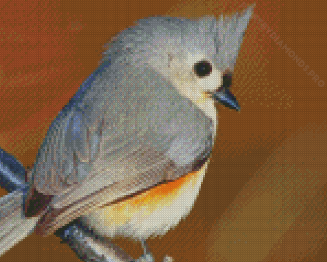 Tufted Titmouse Diamond Painting