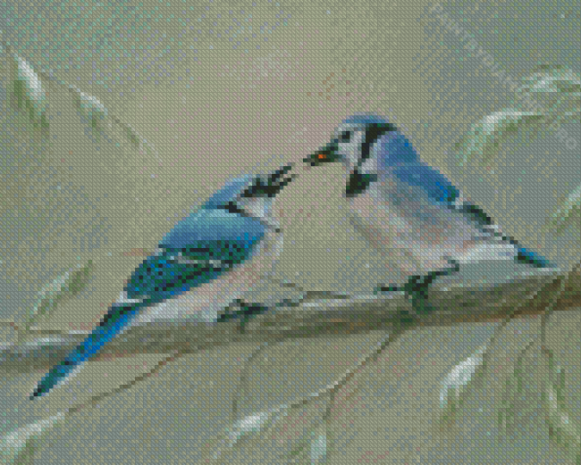 Two Blue Jay In Winter Diamond Paintings