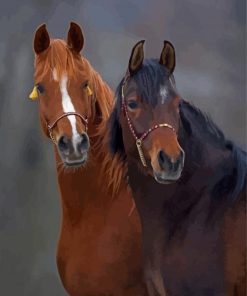 Two Horse Diamond Painting