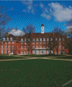 Urbana University Of Illinois Diamond Painting