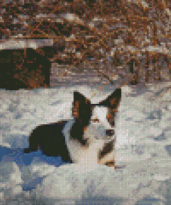 Welsh Sheepdog In Snow Diamond Painting