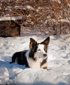 Welsh Sheepdog In Snow Diamond Painting