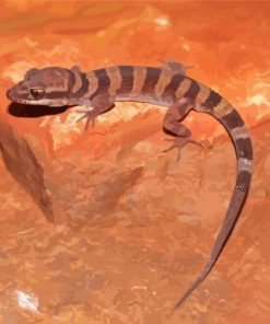 Western Desert Gecko Reptile Diamond Paintings