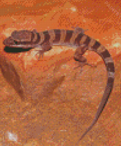 Western Desert Gecko Reptile Diamond Paintings