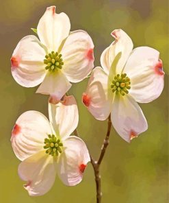 White Dogwoods Flowers Diamond Painting