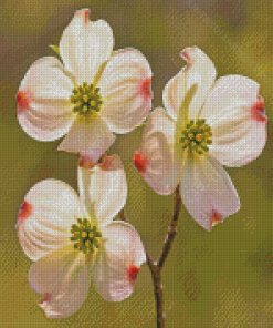 White Dogwoods Flowers Diamond Painting