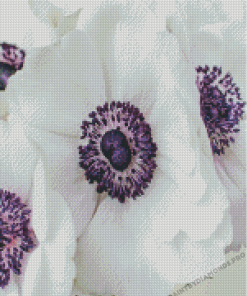 White Anemones Diamond Painting