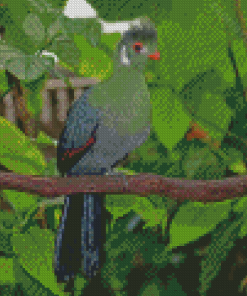 White Cheeked Turaco Bird Diamond Painting