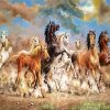 Wild 8 Horses Diamond Painting