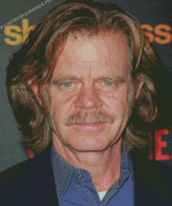 William H Macy American Actor Diamond Paintings