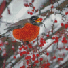 Winter Robin Bird Diamond Painting