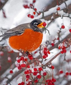 Winter Robin Bird Diamond Painting