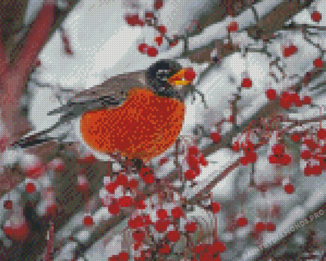 Winter Robin Bird Diamond Painting