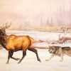 Wolves And Elk Diamond Painting