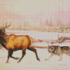 Wolves And Elk Diamond Painting