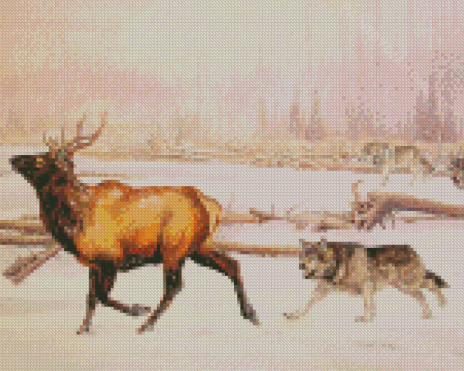 Wolves And Elk Diamond Painting