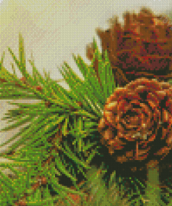 Woody Pinecone Diamond Painting