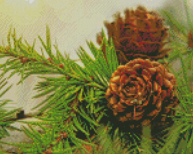 Woody Pinecone Diamond Painting