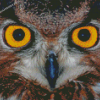 Yellow Owl Eyes Diamond Painting