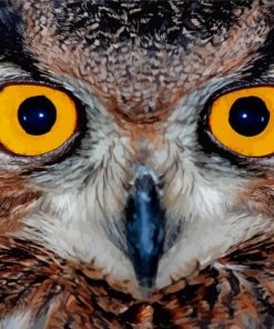 Yellow Owl Eyes Diamond Painting