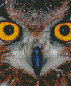 Yellow Owl Eyes Diamond Painting