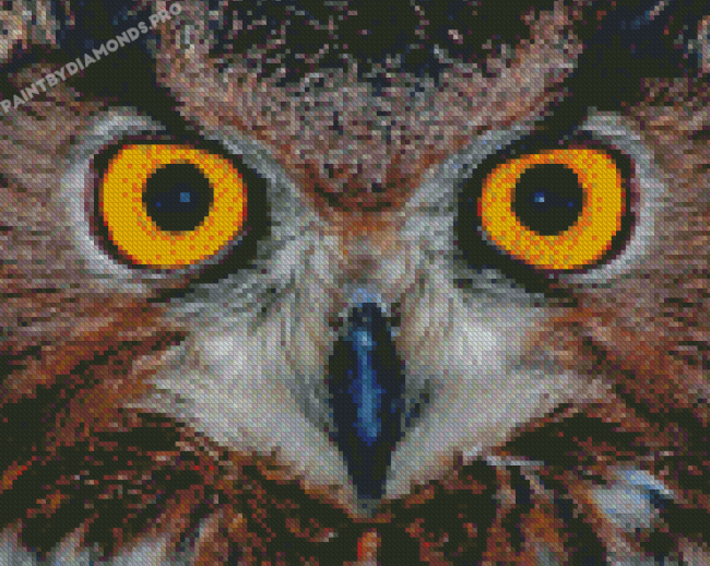 Yellow Owl Eyes Diamond Painting