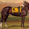 Zenyatta Racehorse Art Diamond Painting