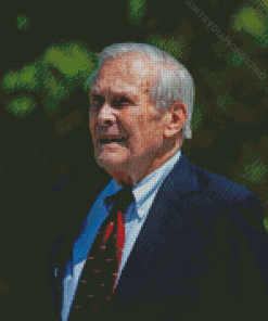 Aesthetic Donald Rumsfeld Diamond Painting