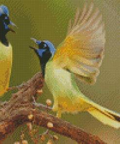 Aesthetic Green Jay Diamond Painting