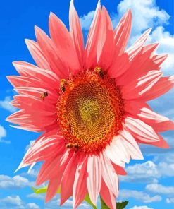 Aesthetic Pink Sunflower Diamond Painting