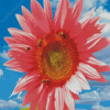 Aesthetic Pink Sunflower Diamond Painting