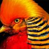 Aesthetic Red Golden Pheasant Diamond Painting