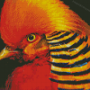 Aesthetic Red Golden Pheasant Diamond Painting