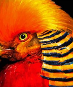 Aesthetic Red Golden Pheasant Diamond Painting