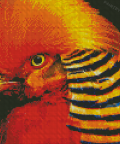 Aesthetic Red Golden Pheasant Diamond Painting