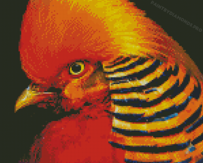 Aesthetic Red Golden Pheasant Diamond Painting