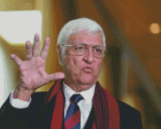 Aesthetic Bob Katter Diamond Painting