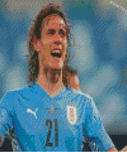 Aesthetic Cavani Diamond Painting