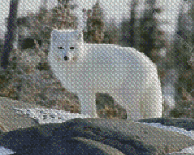 Aesthetic Polar Fox Diamond Painting