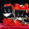 Black Cats With Red Flowers Diamond Painting