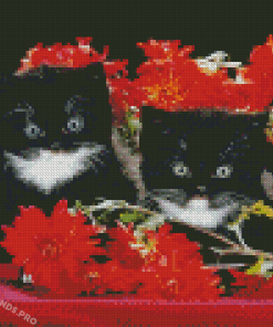 Black Cats With Red Flowers Diamond Painting