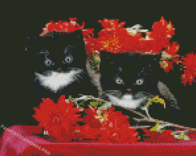 Black Cats With Red Flowers Diamond Painting