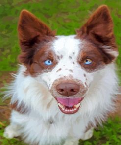 Blue Eyes Brown Border Collie Diamond Painting