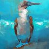 Blue Footed Boobie Bird Art Diamond Painting