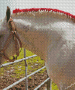 Braided Percheron Horse Diamond Painting