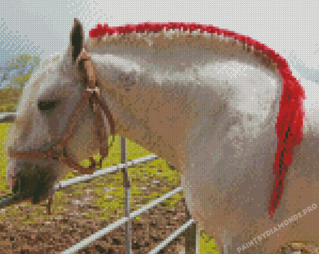 Braided Percheron Horse Diamond Painting