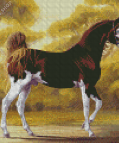 Brown And White Mare Horse Art Diamond Paintings