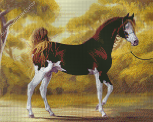 Brown And White Mare Horse Art Diamond Paintings